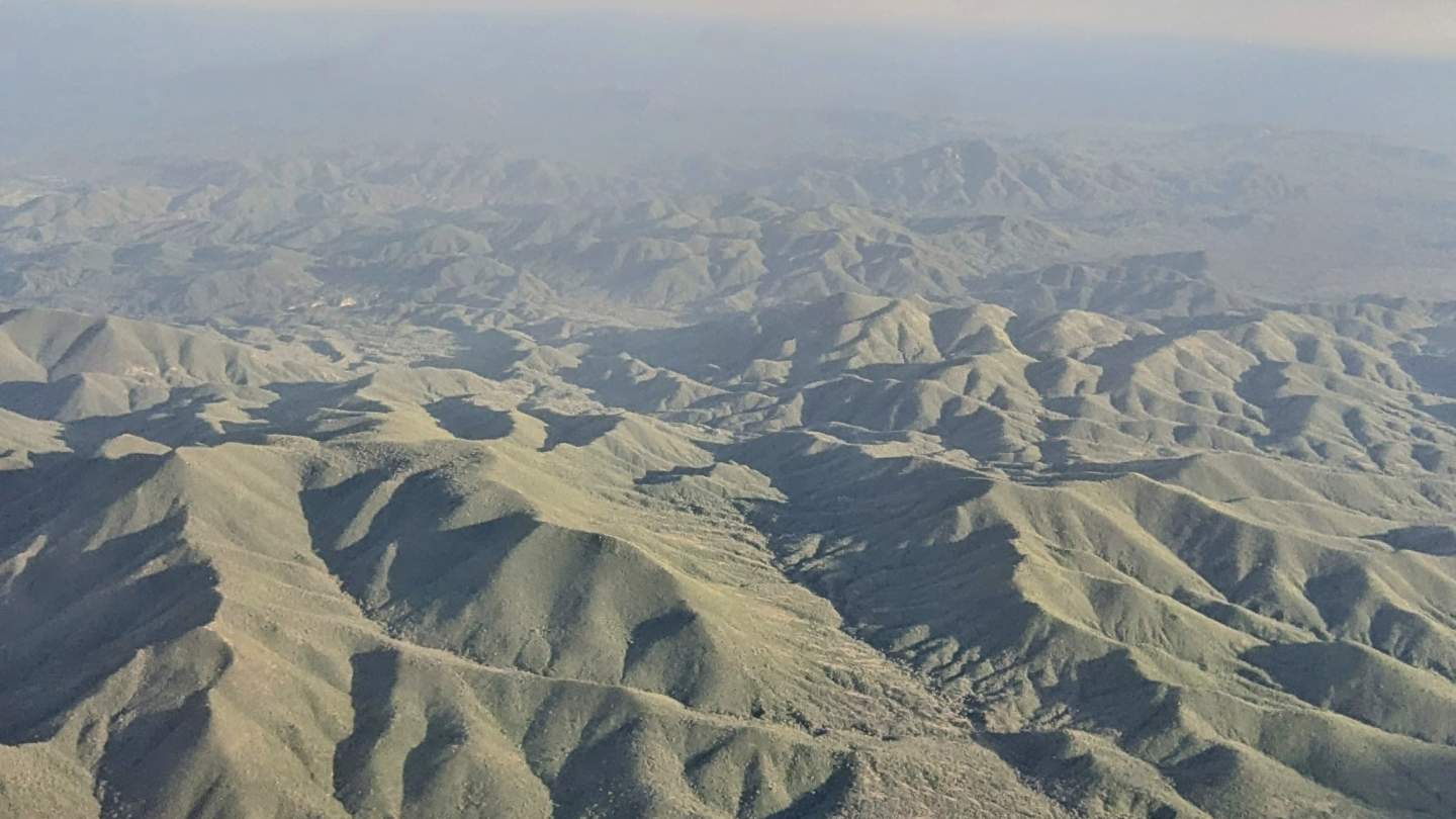 Gobierno del Estado recupera cubierta verde en terrenos para beneficio de productores ganaderos